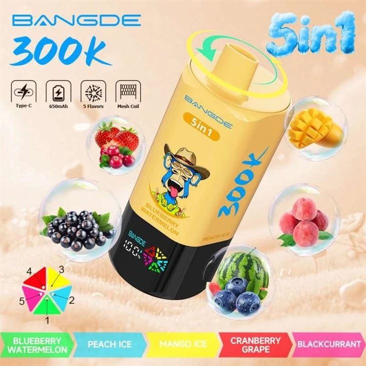 BANG DE 300K suppliers