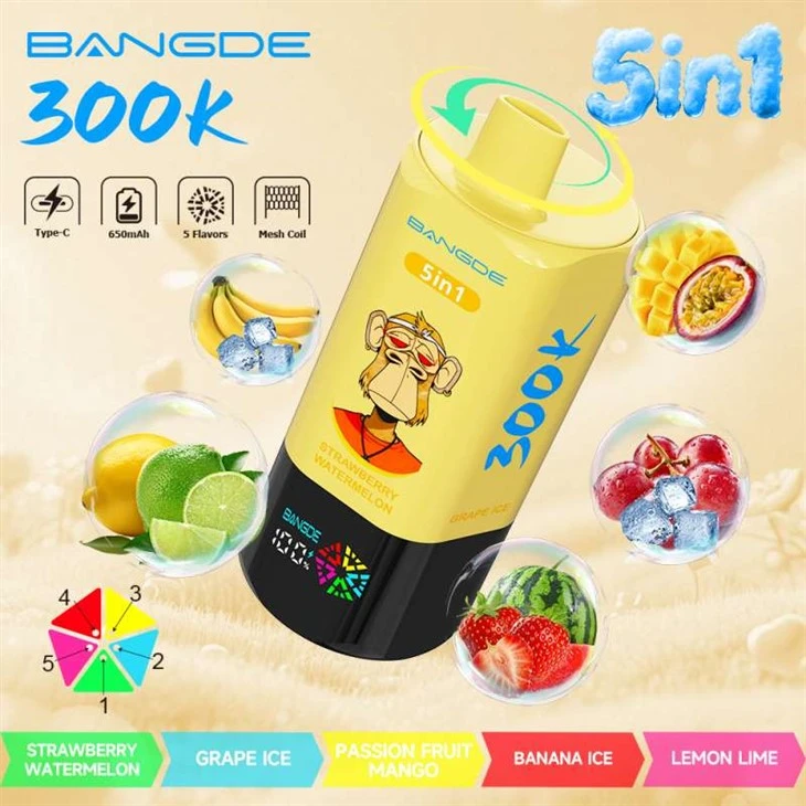 BANG DE 5in1 300000