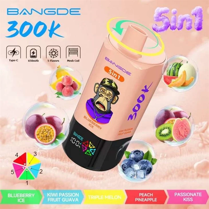 BANG DE 5in1 300000 best