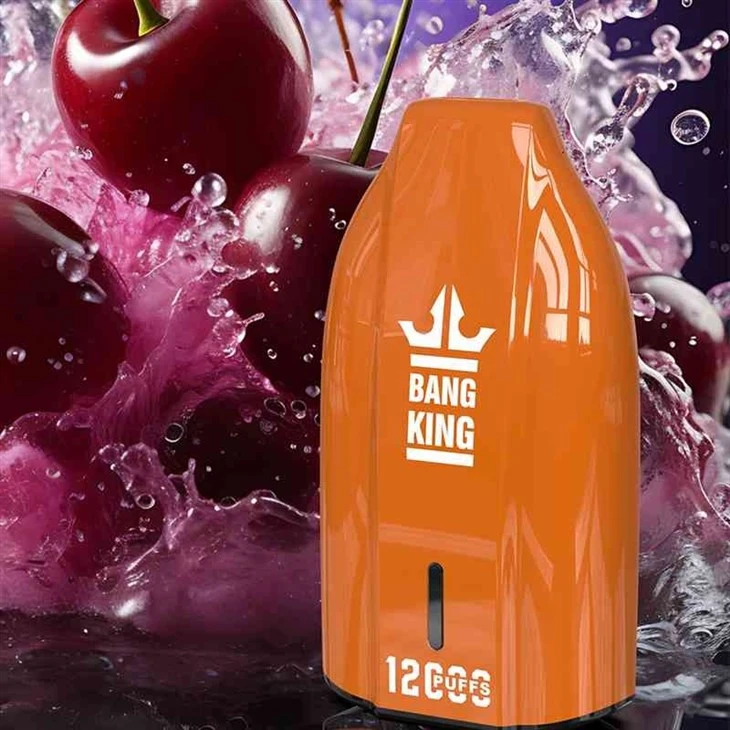 BANG KING 12000 3 BANG KING 12000 3