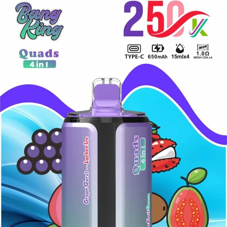 BANG KING Quads 250K 4IN1 high quality BANG KING Quads 250K 4IN1 high quality