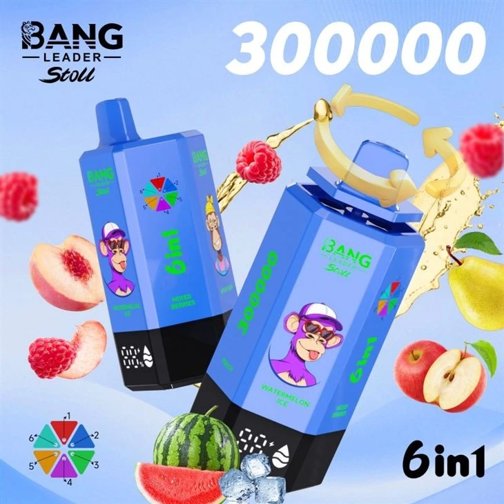 bang leader 300000 13