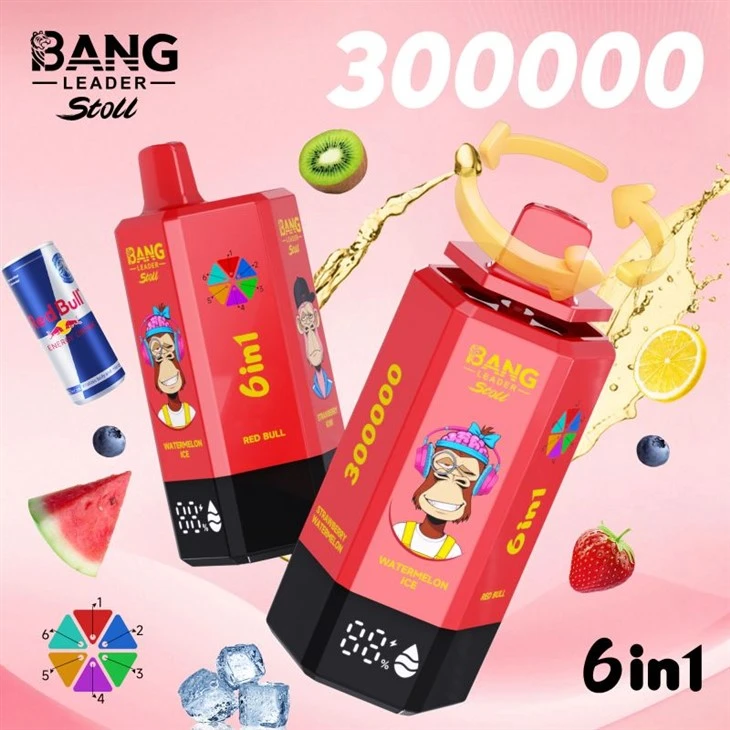 Bang Leader 300000 Puffs Vape
