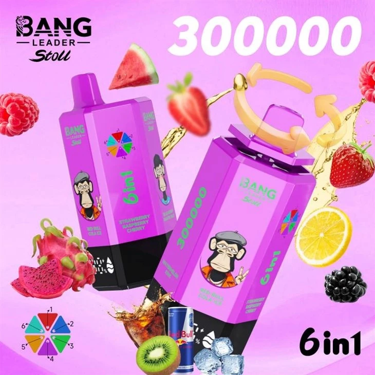 bang leader 300000 21