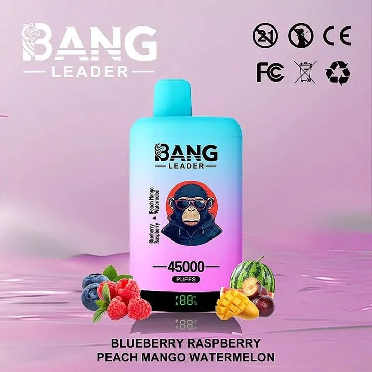 Bang Leader 45000 suppliers Bang Leader 45000 suppliers