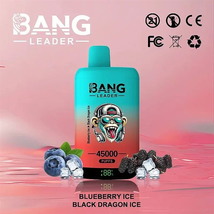 Bang Leader 45000 best Bang Leader 45000 best