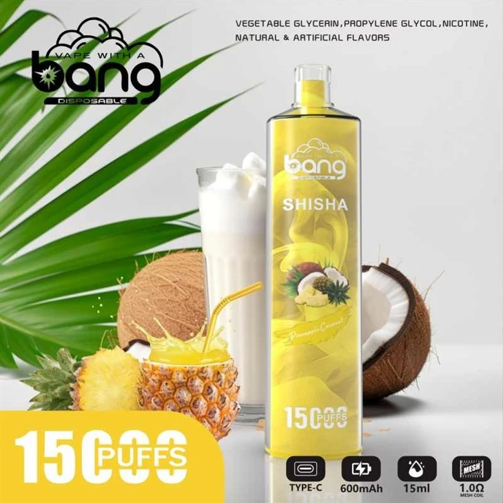 Bang SHISHA 15000 Puff Vape