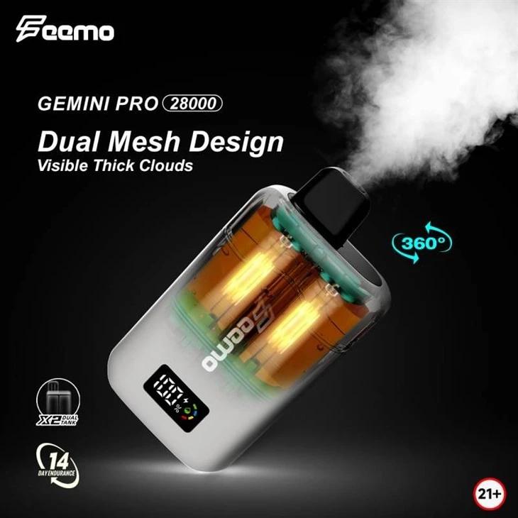 Feemo GEMINI PRO 28000 6 Feemo GEMINI PRO 28000 6
