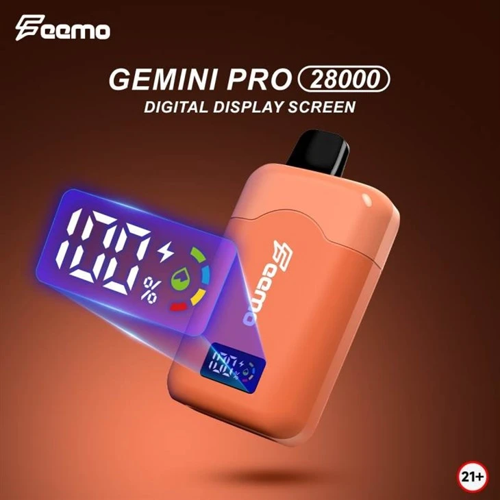 Feemo GEMINI PRO 28000 5 Feemo GEMINI PRO 28000 5