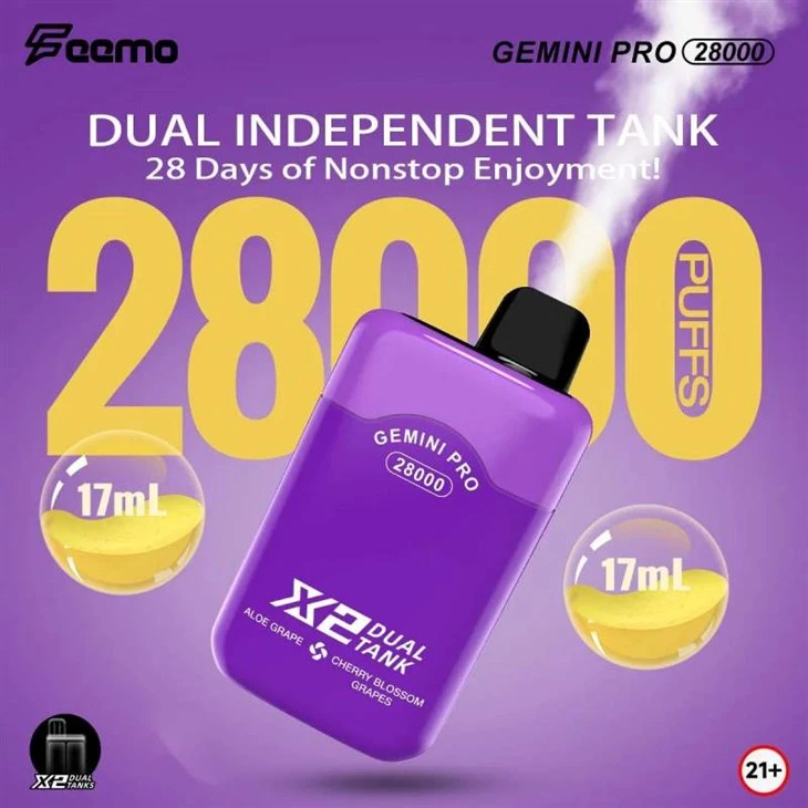 Feemo GEMINI PRO 28000 Feemo GEMINI PRO 28000