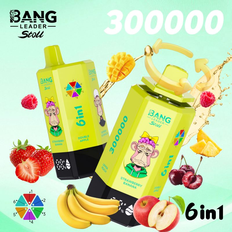 bang leader 300000 5 bang leader 300000 5