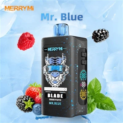 Merry Mi Blade 30000: শুধু স্পেক্স আপ করার জন্য নয়, কিন্তু সত্যিকারের টেকসই ...