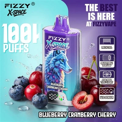 Fizzy 100K X স্পেস: এটি একটি ডিভাইসের জন্য একটি দীর্ঘ সময় স্থায়ী করার জন্য ...