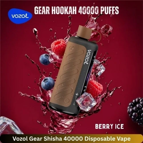 VOZOL গিয়ার হুক্কা 40000 পাফস: কেন এই উচ্চ-ক্ষমতার ইলেকট্রনিক হুক্কা আরও বেশ...