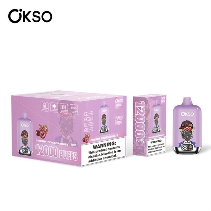 OKSO Digital Box 12000 factory OKSO Digital Box 12000 factory