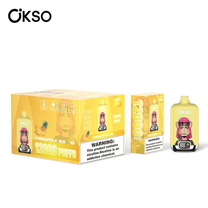 OKSO Digital Box 12000 factory OKSO Digital Box 12000 factory
