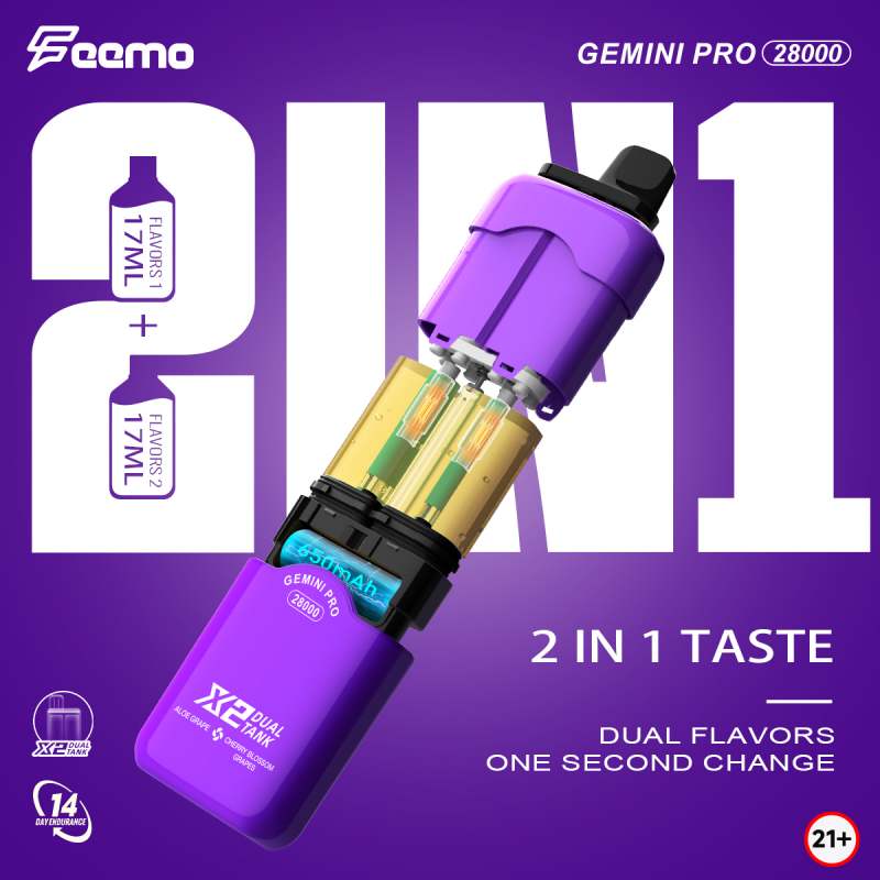 Feemo GEMINI PRO 28000 3 Feemo GEMINI PRO 28000 3