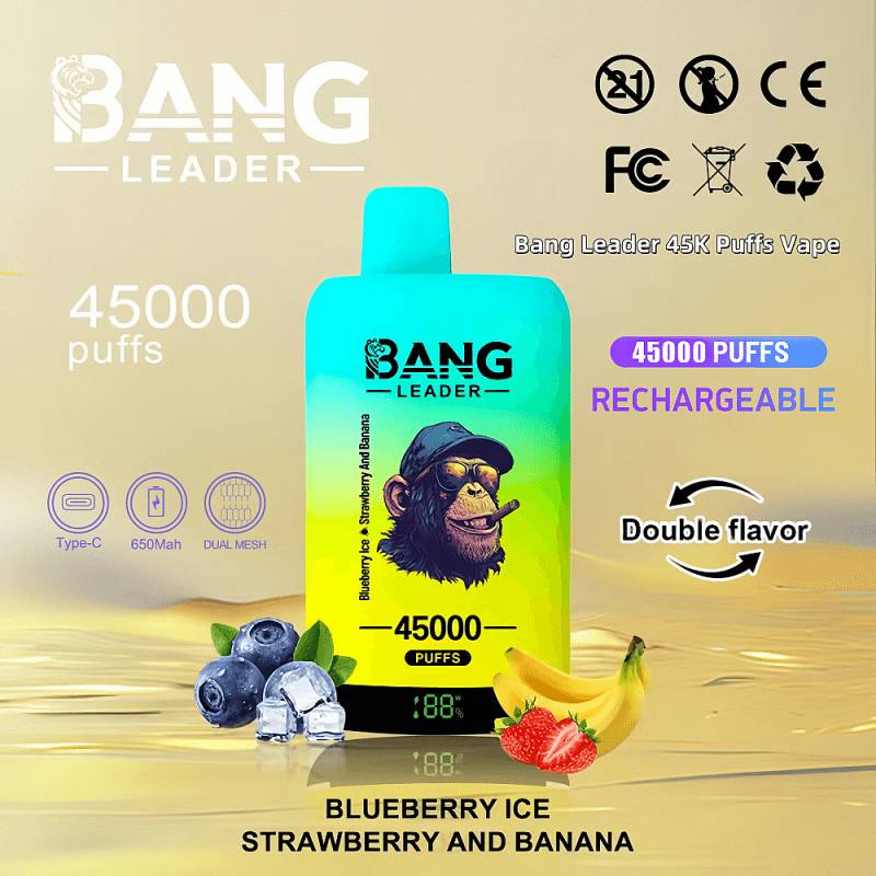 FD-Vape-Bang-Leader-45000-45k-Puffs-Dual-Flavors-Disposable-Vape-0-2-3-5-Nicotine-12Tastes-Factory-Direct-Blueberry-Ice-Strawberry-And-Bananabang leader 45000