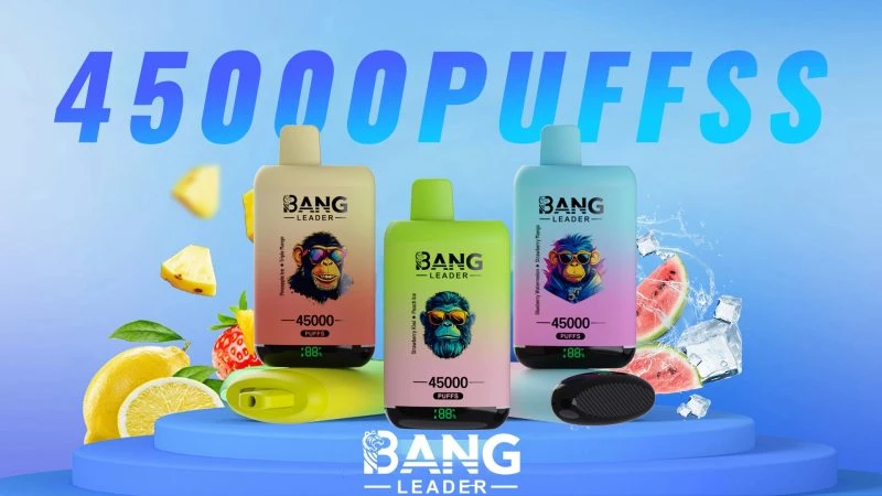 Bang-Leader-45K-Puffs-Disposable-Vape-Wholesale-Dual-Flavors-Switch-LED-Display-0-5-Nic-Salt-12-Flavors-2bang leader 45000