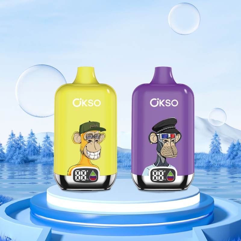 OKSO Digital box 12K 10