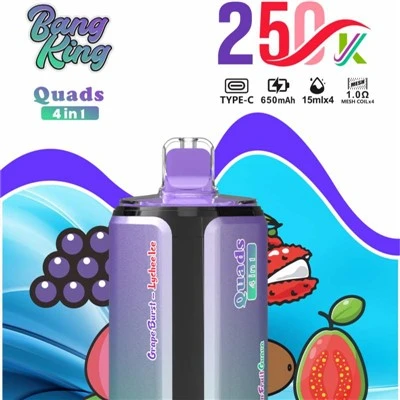 ব্যাং কিং কোয়াডস 4IN1 250K