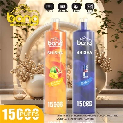 ব্যাং শিশা 15000 পাফস ভ্যাপ