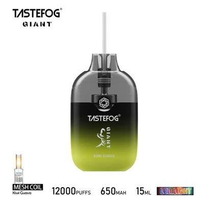 TASTEFOG জায়ান্ট 12000