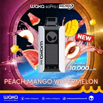 WAKA SoPro PA10000 Vape