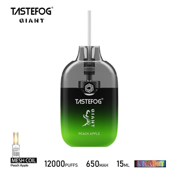 TASTEFOG GIANT 12000 2 TASTEFOG GIANT 12000 2