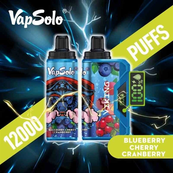 Wholesale-Vapsolo-Viking-12000-Puff-Mesh-Coil-Vaper-Pen-Prefilled-Disposable-Electronic-Cigarette_VapSolo VIKING 12000 Wholesale-Vapsolo-Viking-12000-Puff-Mesh-Coil-Vaper-Pen-Prefilled-Disposable-Electronic-Cigarette_VapSolo VIKING 12000