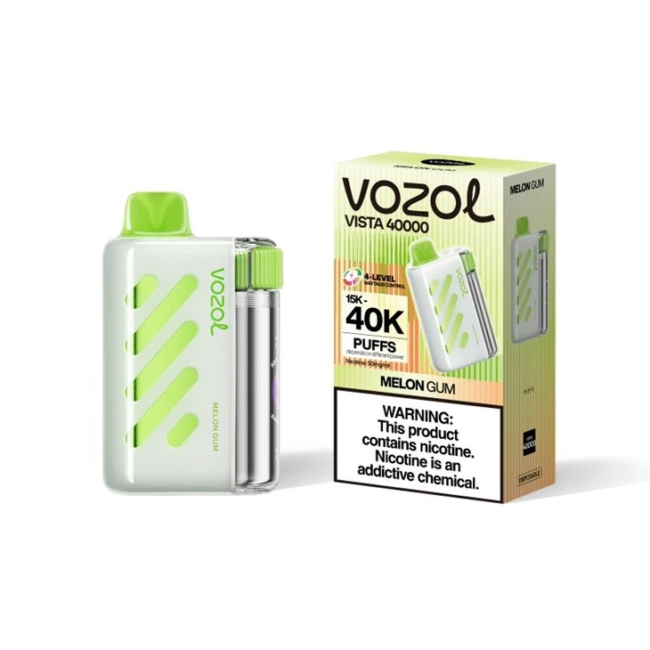 VOZOL VISTA 40000 Puffs VOZOL VISTA 40000 Puffs